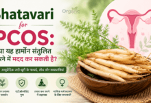 Shatavari for PCOS: हार्मोन संतुलन और महिला स्वास्थ्य पर आधारित फीचर इमेज।