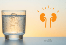 गर्मी और डिहाइड्रेशन से किडनी (Kidney) को खतरा दर्शाती इमेज — पानी का गिलास और किडनी आइकन