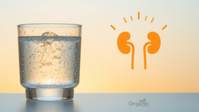 गर्मी और डिहाइड्रेशन से किडनी (Kidney) को खतरा दर्शाती इमेज — पानी का गिलास और किडनी आइकन