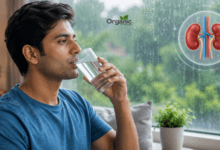 व्यक्ति बारिश के मौसम में घर के अंदर पानी पीते हुए, Monsoon Kidney Care को दर्शाता चित्र