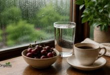 मानसून में Uric acid नियंत्रित करने के लिए पानी, चेरी और कॉफी की तस्वीर