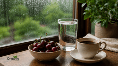 मानसून में Uric acid नियंत्रित करने के लिए पानी, चेरी और कॉफी की तस्वीर