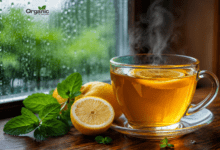 Warm cup of lemon tea with fresh lemon slices near a rainy window, monsoon health drink