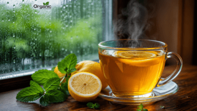Warm cup of lemon tea with fresh lemon slices near a rainy window, monsoon health drink