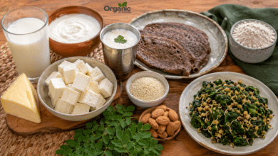 Milk to Moringa: हड्डियों को मजबूत बनाने वाले 10 कैल्शियम युक्त भारतीय Foods