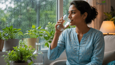 मानसून के मिथक और जरूरी टिप्स Monsoon Myths and Essential Tips