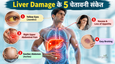 Liver Damage के शुरुआती लक्षण दिखाता हुआ मानव लिवर का मेडिकल चित्र