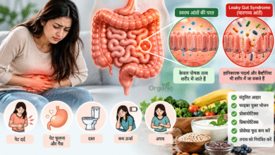 Leaky Gut Syndrome और intestinal permeability को दर्शाता आंतों का स्वास्थ्य चित्र