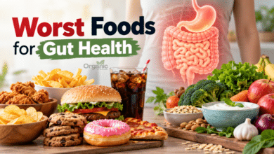 आंतों की सेहत के लिए worst foods में तले और प्रोसेस्ड खाद्य पदार्थ