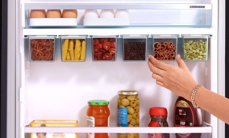 double door fridge