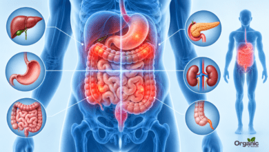 पेट दर्द (Abdominal Pain): कारण, लक्षण, इलाज और बचाव