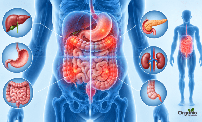 पेट दर्द (Abdominal Pain): कारण, लक्षण, इलाज और बचाव