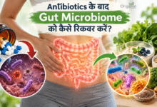 Antibiotics के बाद Gut Microbiome और gut bacteria की recovery को दर्शाता illustration