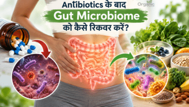 Antibiotics के बाद Gut Microbiome और gut bacteria की recovery को दर्शाता illustration