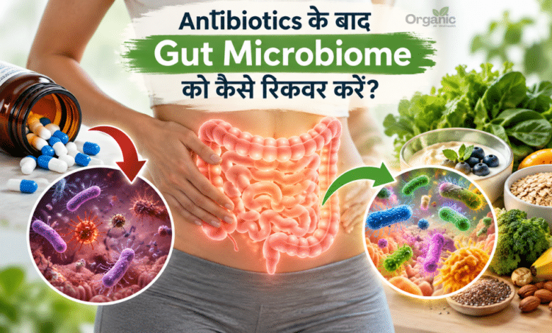 Antibiotics के बाद Gut Microbiome और gut bacteria की recovery को दर्शाता illustration