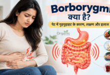 Borborygmi यानी पेट और आंतों में गुड़गुड़ाहट के कारण और पाचन प्रक्रिया का चित्रण