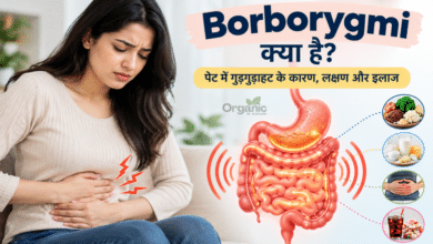 Borborygmi यानी पेट और आंतों में गुड़गुड़ाहट के कारण और पाचन प्रक्रिया का चित्रण