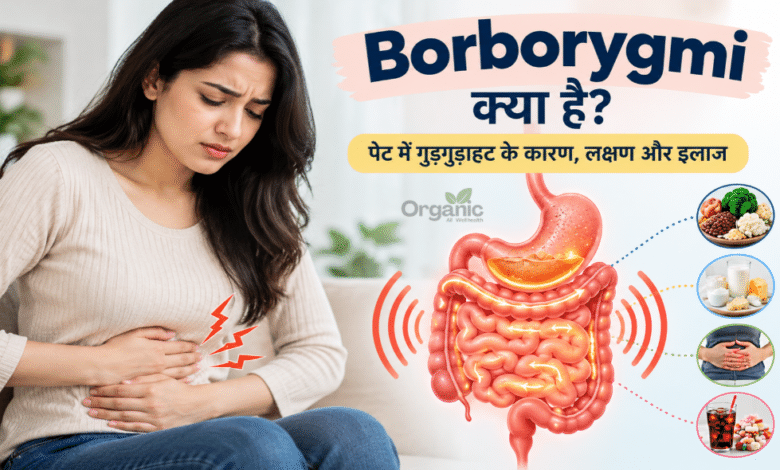 Borborygmi यानी पेट और आंतों में गुड़गुड़ाहट के कारण और पाचन प्रक्रिया का चित्रण