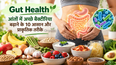 Gut Health: आंतों में अच्छे बैक्टीरिया बढ़ाने के 10 तरीके