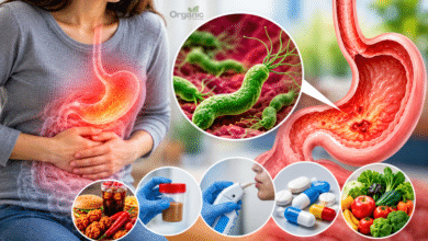 Helicobacter pylori बैक्टीरिया का चित्र जो पेट की अंदरूनी परत में संक्रमण और सूजन को दर्शाता है।